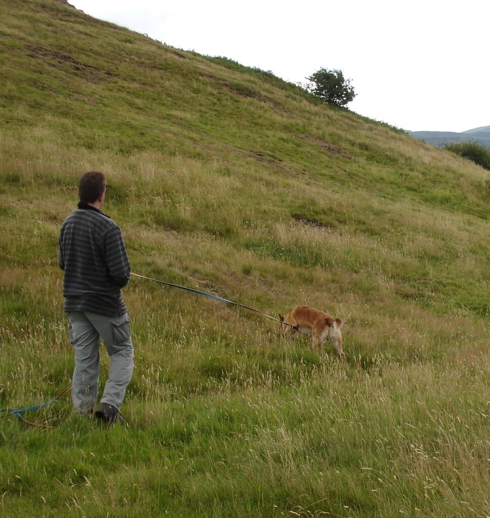 Norwich Tracking School