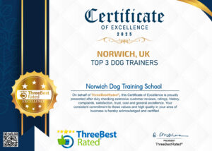 Best Rated